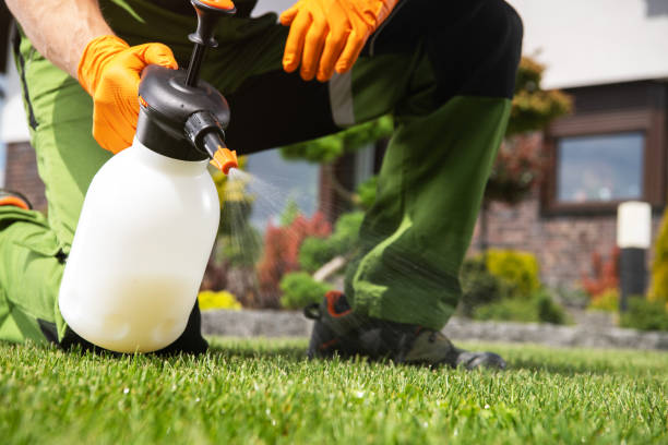 Best Termite Control Services  in Cannon Falls, MN