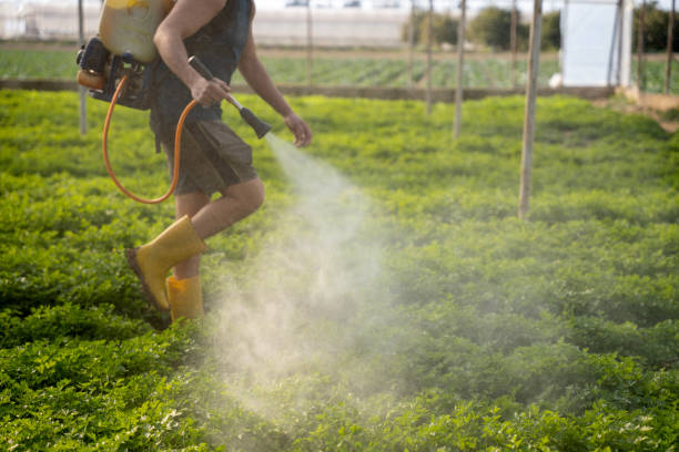Best Pest Control for Restaurants  in Cannon Falls, MN