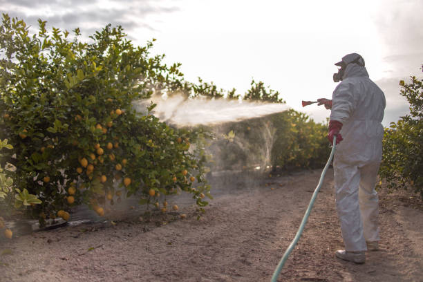 Best Ant Control Services  in Cannon Falls, MN