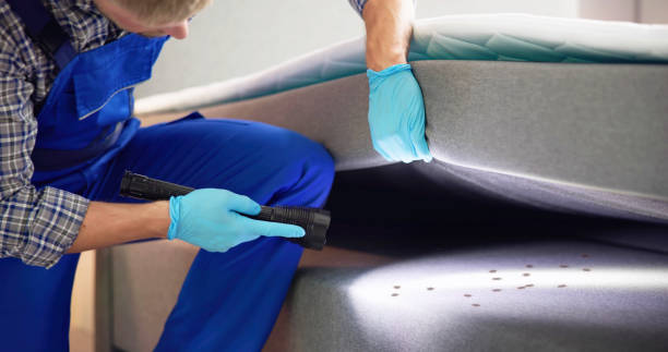 Best Emergency Pest Control  in Cannon Falls, MN