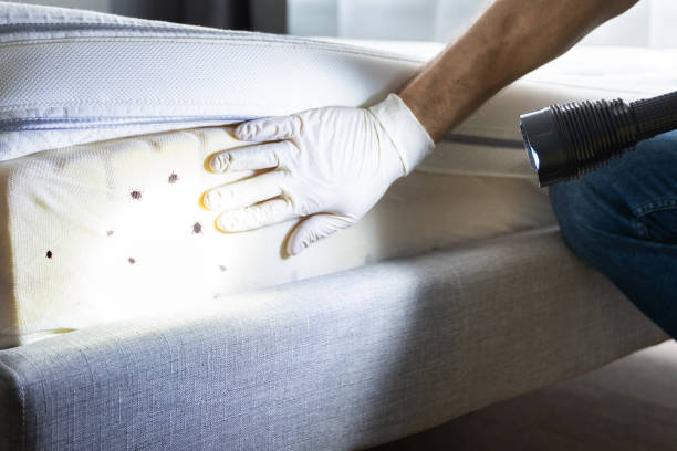 Best Pest Inspection Near Me  in Cannon Falls, MN