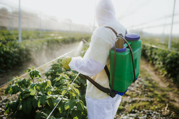 Best Rat Extermination Near Me  in Cannon Falls, MN